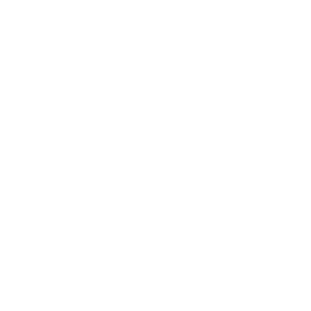 Manguito de Fijación